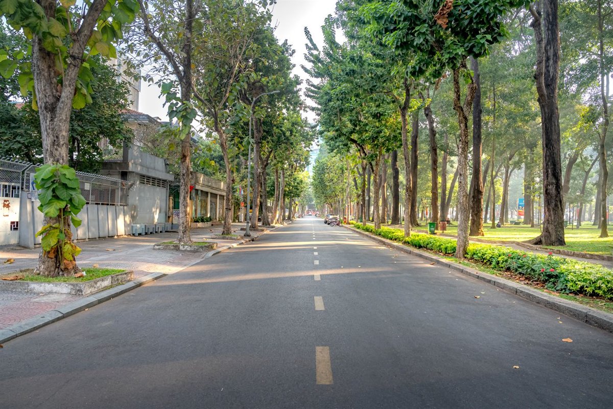 城区道路绿化带与景观节点实拍图